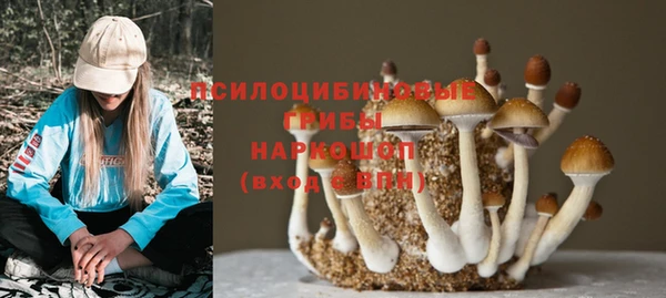 скорость Новозыбков