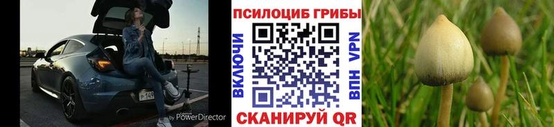 Псилоцибиновые грибы Psilocybe  как найти закладки  Оханск 